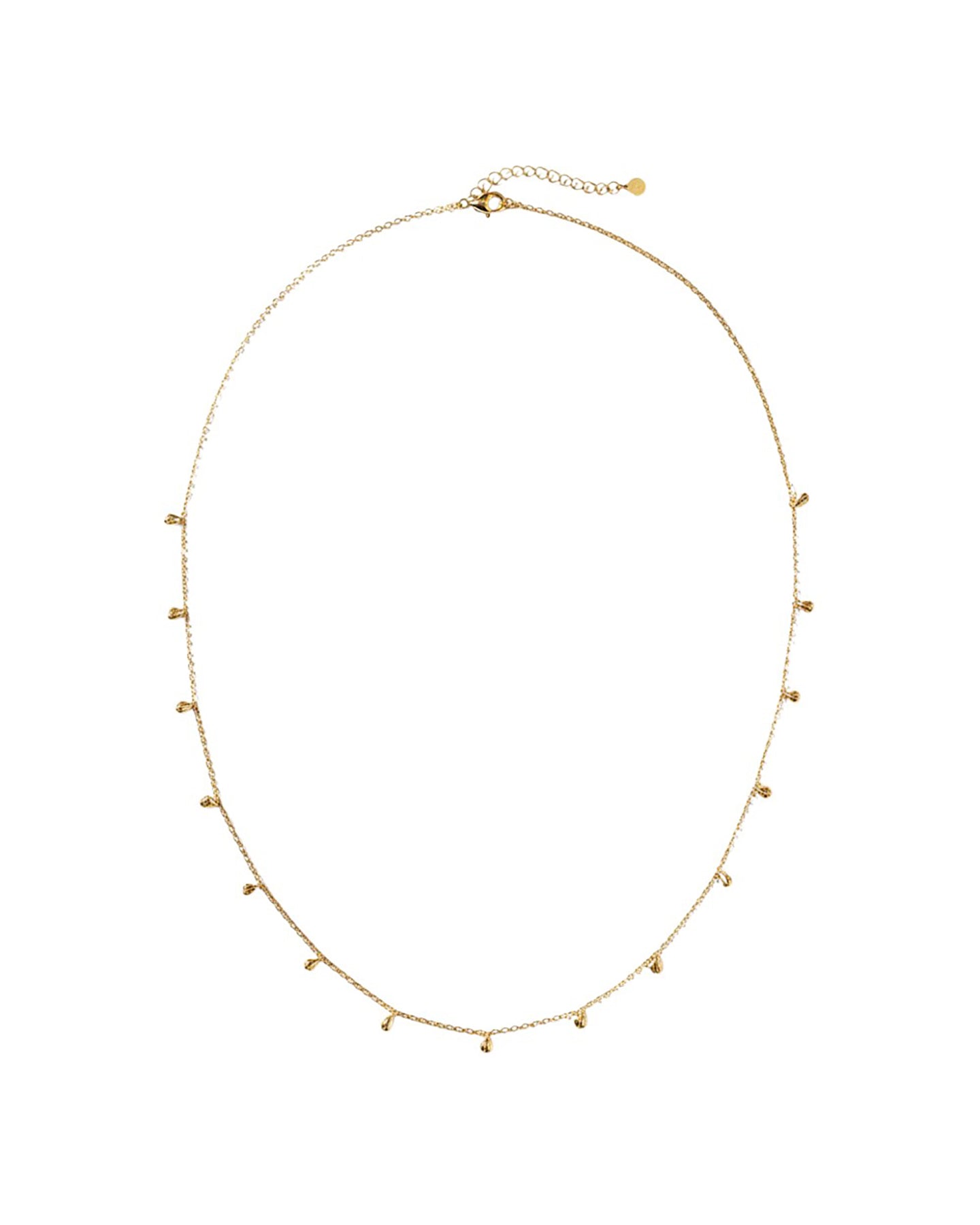 Zarte goldfarbene Halskette mit feiner Gliederkette und kleinen, gleichmäßig verteilten tropfenförmigen Anhängern; oben mit Karabinerverschluss und Verlängerungskettchen, freigestellt vor weißem Hintergrund.